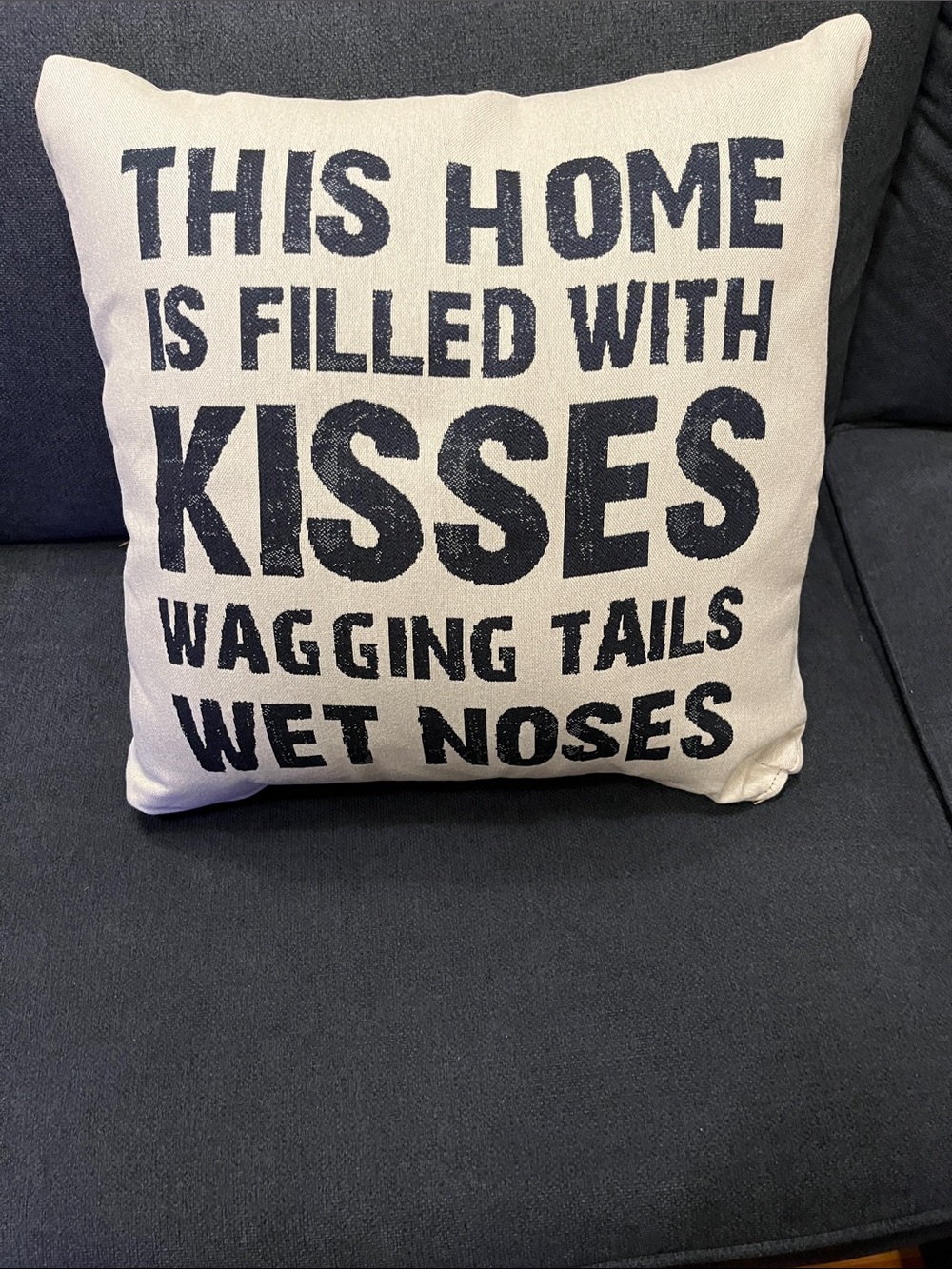 Neutral Canvas Accent Pillow with Navy Text - 'This Home is Filled With Kisses'